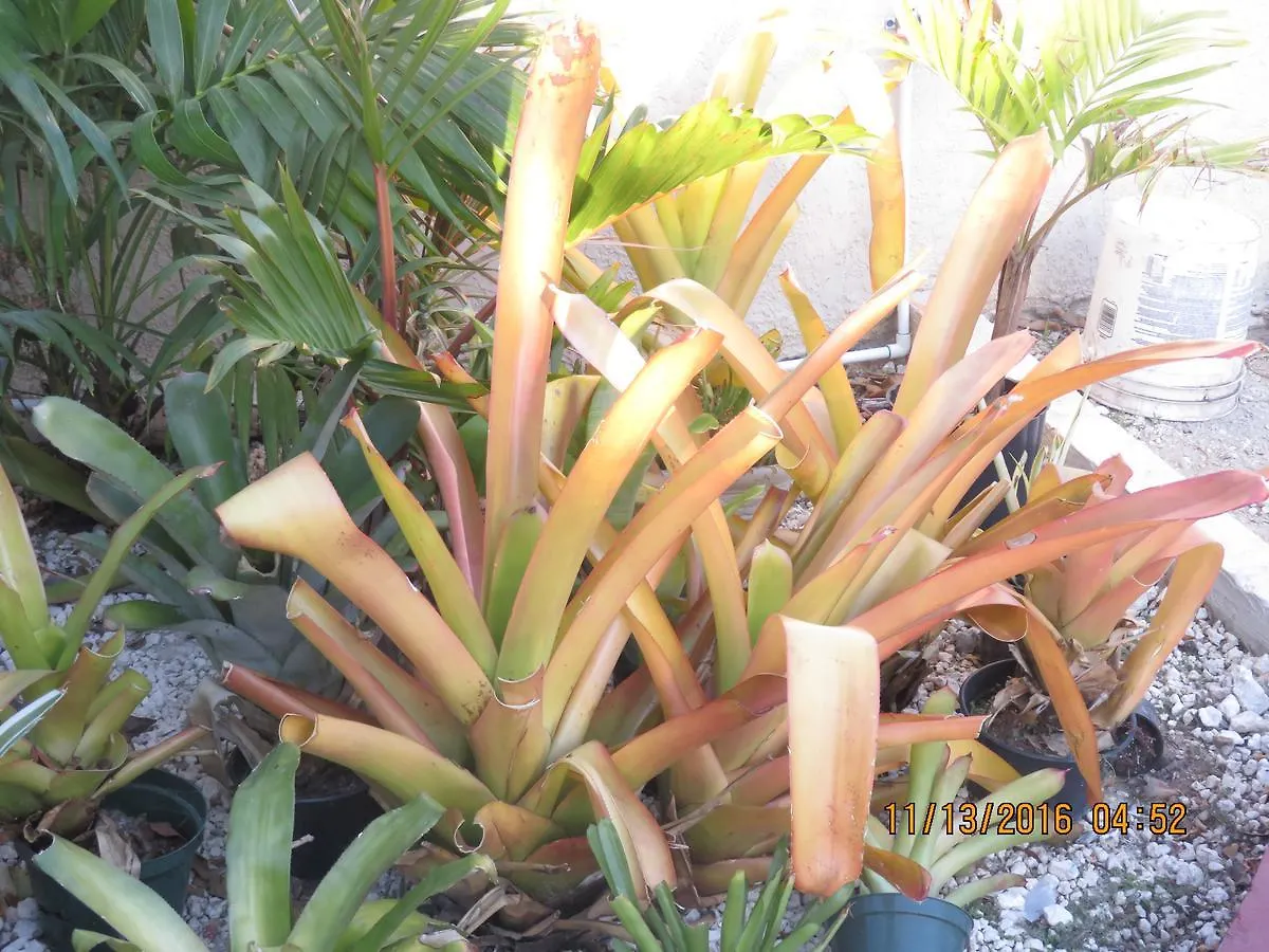 Winton Retreat Studio Apartment Nassau Bahamas